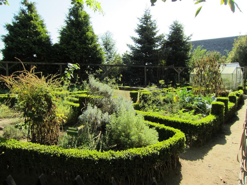 Pflanzen - Bauerngarten