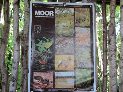 Schautafeln - Moor - gefaehrdeter Lebensraum