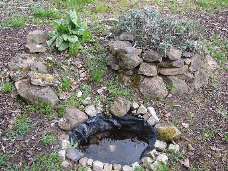 Wasserstellen - Gartenteich